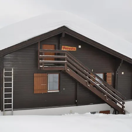 アパート Chalet Foresta Og *