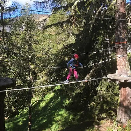 Chalet Foresta Og