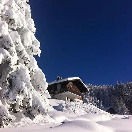 Chalet Foresta Og アパート ベットメラルプ