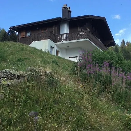 Chalet Foresta Og Bettmeralp